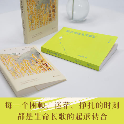 【新东方】那时我在山间歌唱:梁晓声散文精选 当代散文名家经典人世间生活困境指南人生意义治愈感动 俞敏洪 商品图2