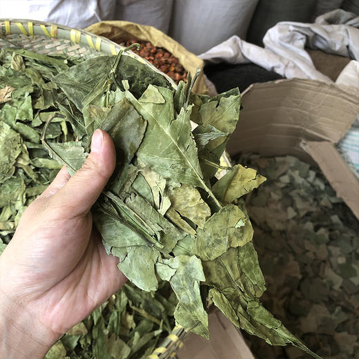桔叶   橘子叶 当季新货 气味清香中药材 商品图3