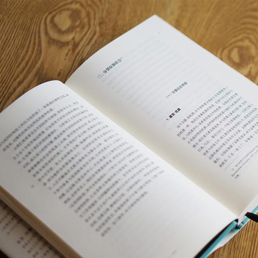 两种疯狂体制：文本与访谈（1975—1995） 商品图4