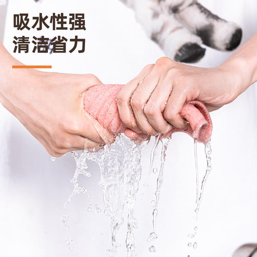 得力珊瑚绒抹布LQ391（30*30CM/4张混色装） 商品图4