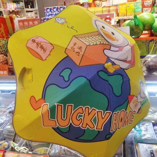 LUCKY HOME 6骨重工儿童雨伞 商品图0