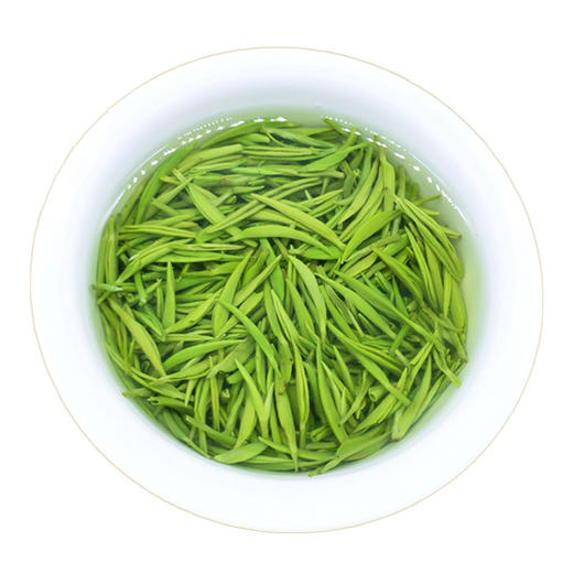 2026正宗信阳毛尖新茶 芽头 商品图2