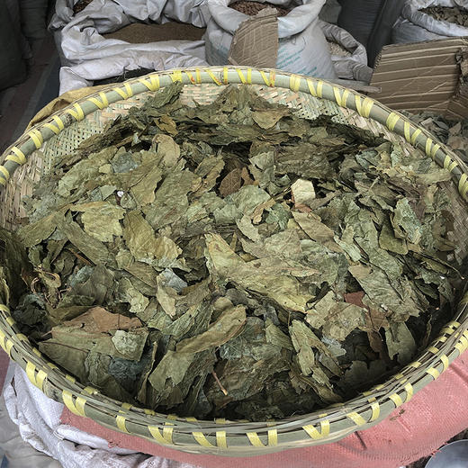 布渣叶 商品图1