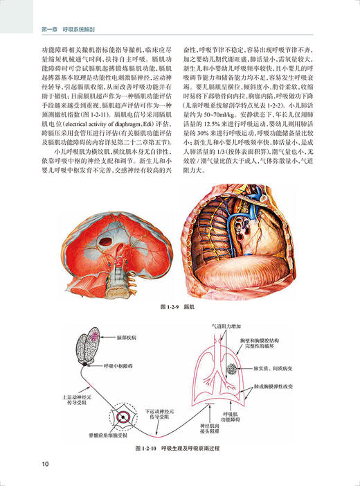 儿童机械通气 陆国平 陈超主编 儿童危重症呼吸支持技术 呼吸机特点比较 儿童急救临床医生工作指导 人民卫生出版社9787117342704 商品图4