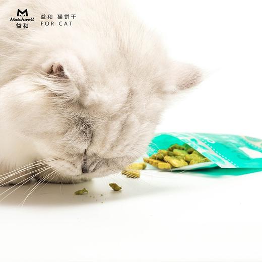 益和猫饼干猫零食猫薄荷味饼干成幼猫咪增肥发腮小鱼饼干洁齿磨牙咬棒40g 商品图3
