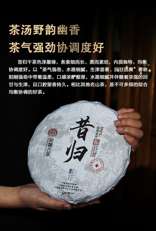 凰馨古茶2023年昔归357克生茶探春系列 古树普洱茶 商品图3