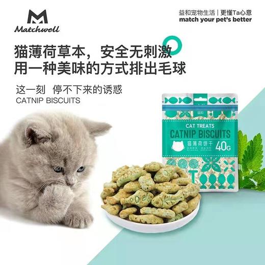 益和猫饼干猫零食猫薄荷味饼干成幼猫咪增肥发腮小鱼饼干洁齿磨牙咬棒40g 商品图2