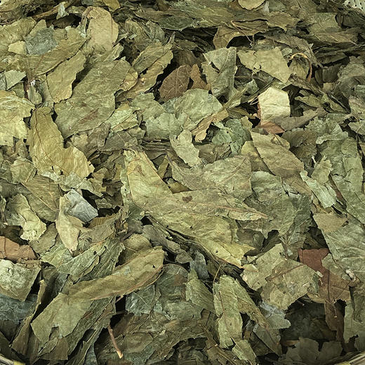 布渣叶 商品图2