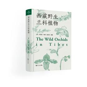 西藏野生兰科植物