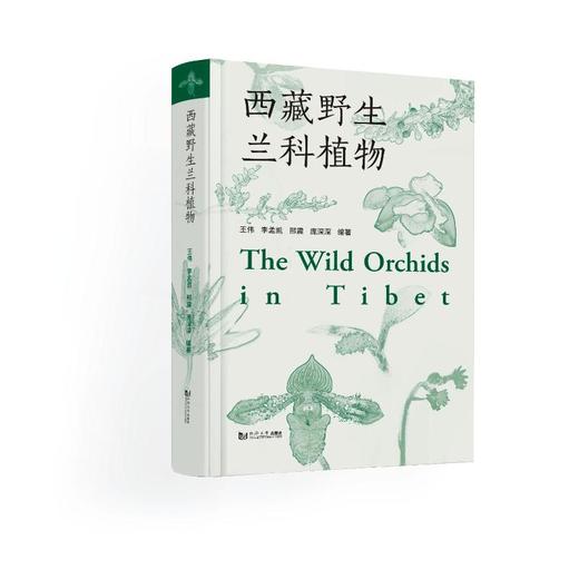 西藏野生兰科植物 商品图0