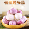 云南紫皮独头蒜  2023年大理新鲜紫皮大蒜湿蒜食用大蒜头农家蒜蔬菜 商品缩略图0
