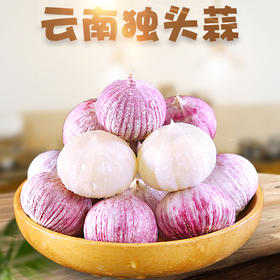 云南紫皮独头蒜  2023年大理新鲜紫皮大蒜湿蒜食用大蒜头农家蒜蔬菜