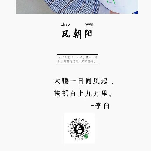 鳳朝阳 商品图2