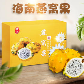 【顺丰包邮】海南燕窝果 新鲜麒麟果 水果黄皮白心火龙果 孕妇水果精品礼盒装