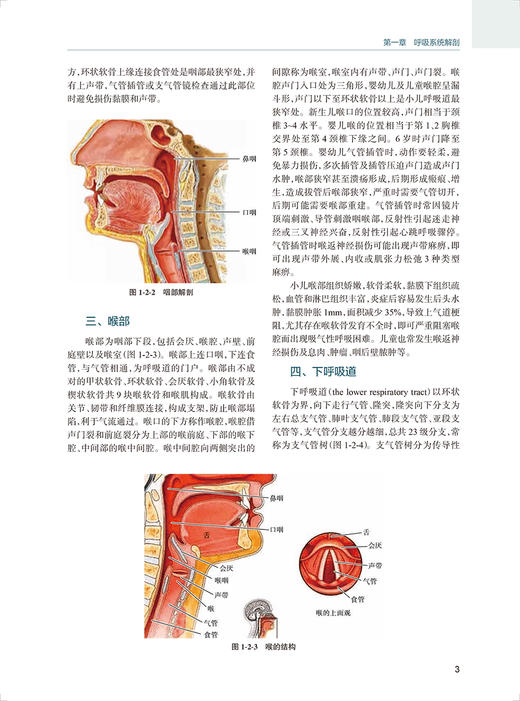 儿童机械通气 陆国平 陈超主编 儿童危重症呼吸支持技术 呼吸机特点比较 儿童急救临床医生工作指导 人民卫生出版社9787117342704 商品图3