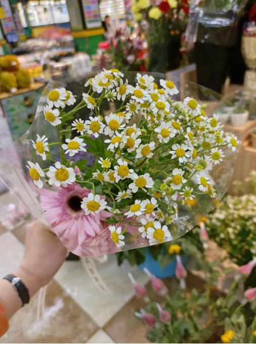 弗朗+洋甘菊花束（拼团） 商品图2