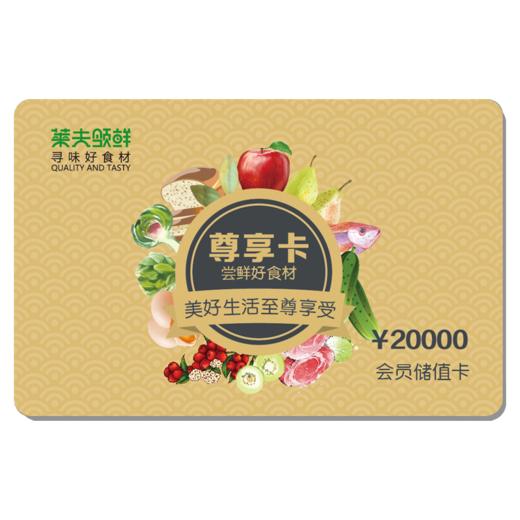 尊享卡（购买即享专属折扣+20000积分） 商品图0