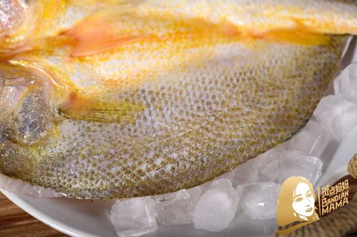 【满88包邮】黄鱼鲞又称大黄鱼 金鳞出浪   让您“鲞”念，鲞，音同“想”，即“美下有鱼”。 商品图3