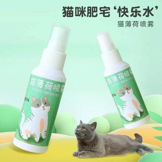 【撸猫必备】皮皮淘猫薄荷喷雾薄荷草香水喷剂逗猫自嗨猫玩具诱导剂50ml/1瓶 商品图0