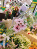 弗朗+洋甘菊花束（拼团） 商品缩略图0