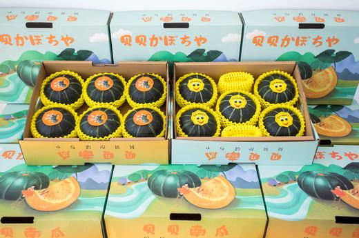 【只卖真贝贝】山东·潍坊贝贝小南瓜 5斤装 板栗味宝宝辅食粉糯香甜农家自种 商品图7