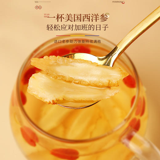 福东海 美国西洋参片100克/瓶 （斜切直径约0.8cm）美国进口斜切片泡水泡茶 商品图3