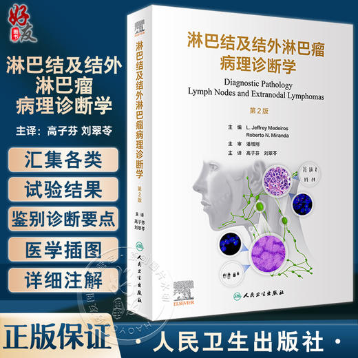 淋巴结及结外淋巴瘤病理诊断学 第2版 高子芬 刘翠苓 译 临床病理特征诊断要点 血液病理医生案头手册9787117343596人民卫生出版社 商品图0