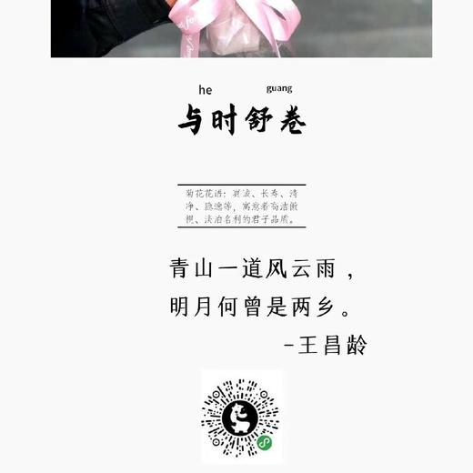 与时舒卷 商品图1