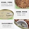 卷尾巴禾本猫草有机无土水培即食化毛球懒人小麦猫草种子15g/罐 商品缩略图4
