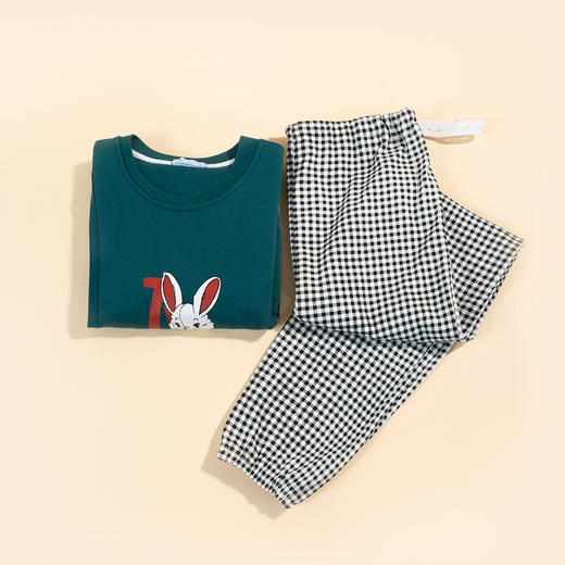 贝贝怡月子服春秋季纯棉产后哺乳衣准妈妈喂奶孕妇睡衣产妇怀孕期223Y2179 商品图2