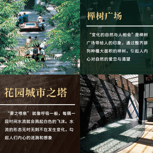看不见的自然 佐佐木叶二的景观设计 商品图3