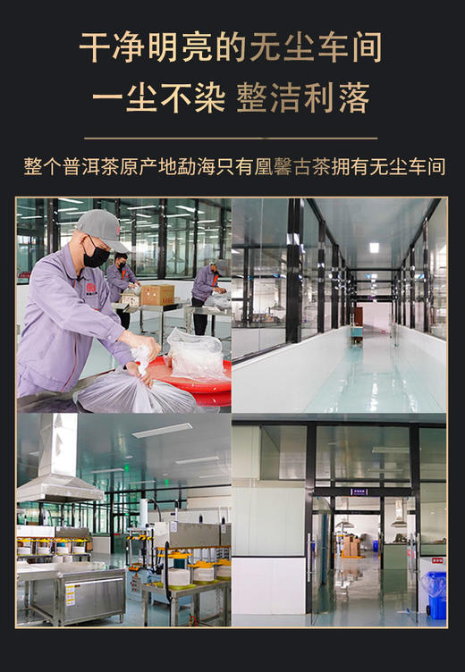 凰馨古茶2023年昔归357克生茶探春系列 古树普洱茶 商品图6