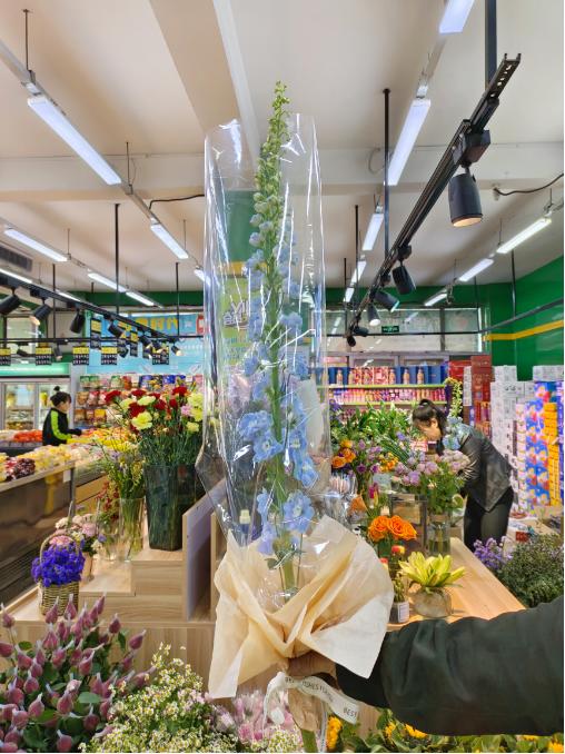 大飞燕一支（拼团） 商品图0