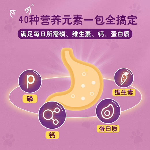 伟嘉成幼猫妙鲜包湿粮85g 商品图2