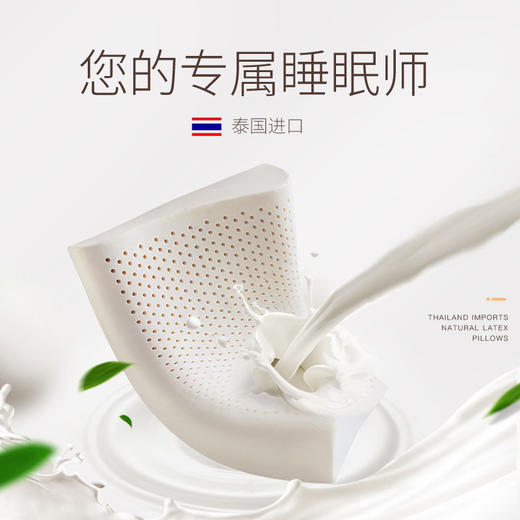 艾瑞克丝泰国进口天然乳胶枕成人护颈枕橡胶颈椎高低枕头 商品图2
