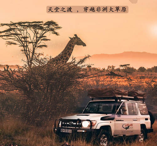 狂野非洲——天堂之渡，动物大迁徙，穿越非洲大草原，顶级Safari