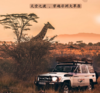 狂野非洲——天堂之渡，动物大迁徙，穿越非洲大草原，顶级Safari 商品缩略图0