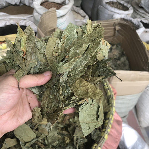 布渣叶 商品图3