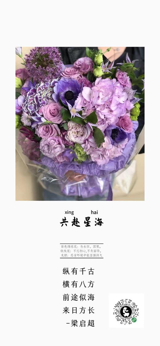 共赴星海 商品图3