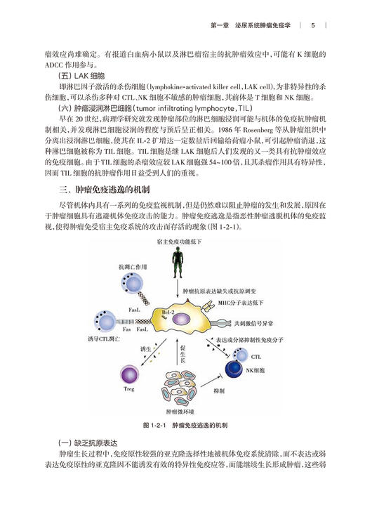 现代泌尿肿瘤学 曾进 陈忠主编 各个脏器良恶性肿瘤临床特点治疗 泌尿外科医师临床手术操作参考书 人民卫生出版社9787117341646 商品图3