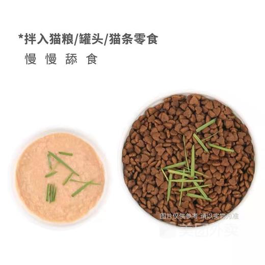 卷尾巴禾本猫草有机无土水培即食化毛球懒人小麦猫草种子15g/罐 商品图3