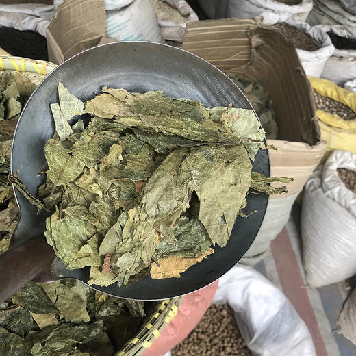 布渣叶 商品图4