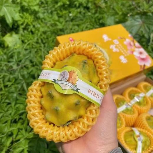【顺丰包邮】海南燕窝果 新鲜麒麟果 水果黄皮白心火龙果 孕妇水果精品礼盒装 商品图2