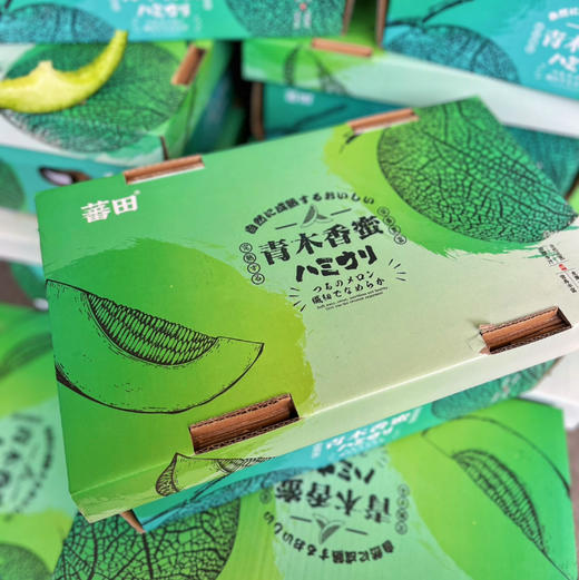 【牛3网纹瓜】星鲜园 牛3网纹瓜，甜度高的软瓤瓜，越软越好吃，水分越足！ 商品图6