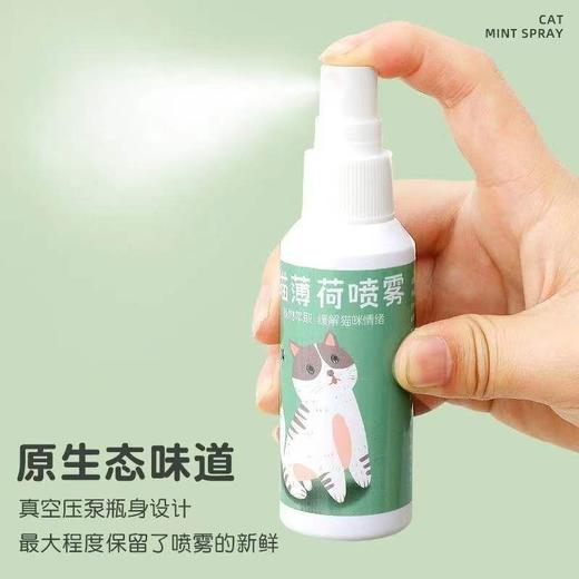 【撸猫必备】皮皮淘猫薄荷喷雾薄荷草香水喷剂逗猫自嗨猫玩具诱导剂50ml/1瓶 商品图1