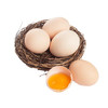 五峰农家鲜鸡蛋 谷物喂养柴鸡蛋30枚 商品缩略图5