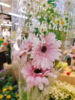 弗朗+洋甘菊花束（拼团） 商品缩略图1