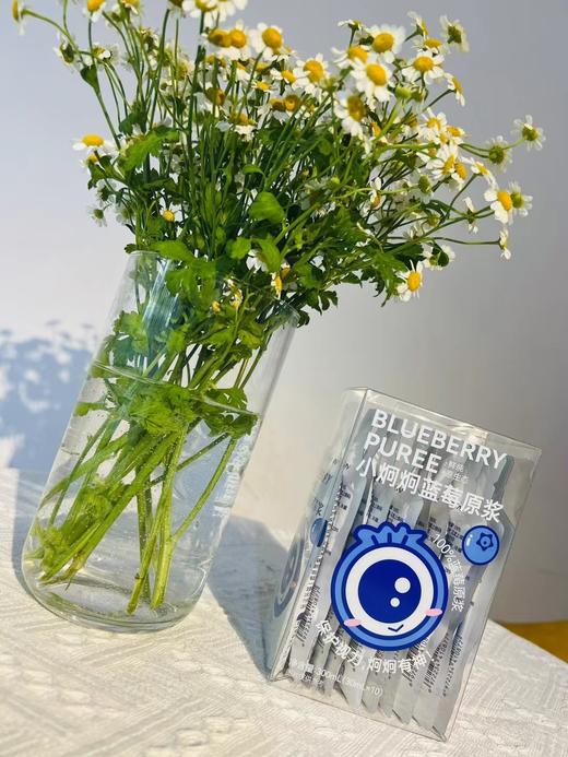 蜗品｜小炯炯蓝莓原浆，纯果汁无添加 健康好喝 商品图3