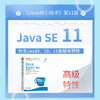 Java核心技术 卷II 高级特性（原书第11版） 商品缩略图3