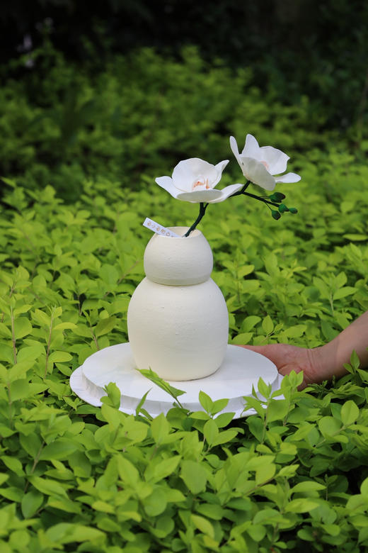 蝴蝶兰唯美花瓶蛋糕 商品图2